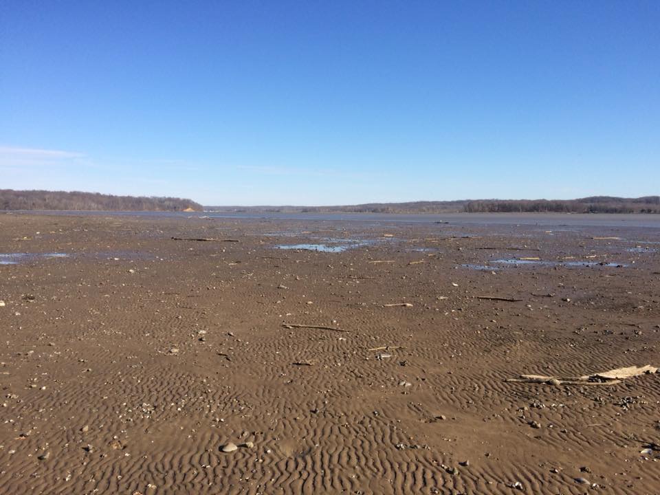 Alexandria's Potomac Blows Out to Sea Due to High Winds - The Zebra-Good News in Alexandria