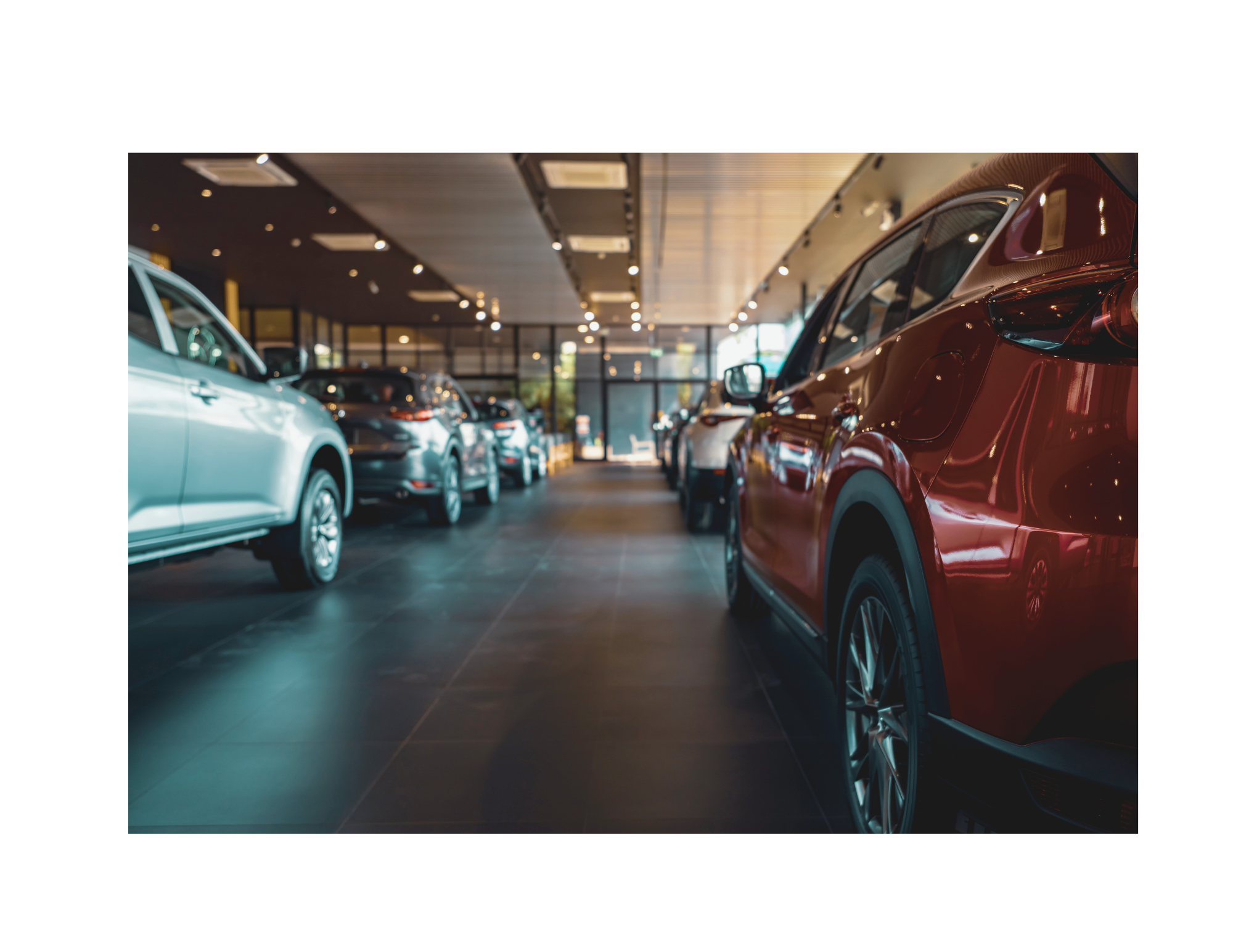 Bloomberg – Ford Most at Risk From China Exposure Among 250 American Firms - Strategy Risks