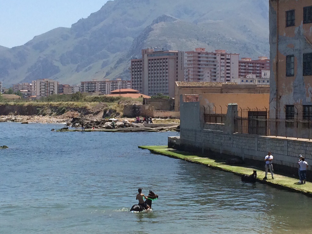 Keeping cool in Palermo – stu.blog