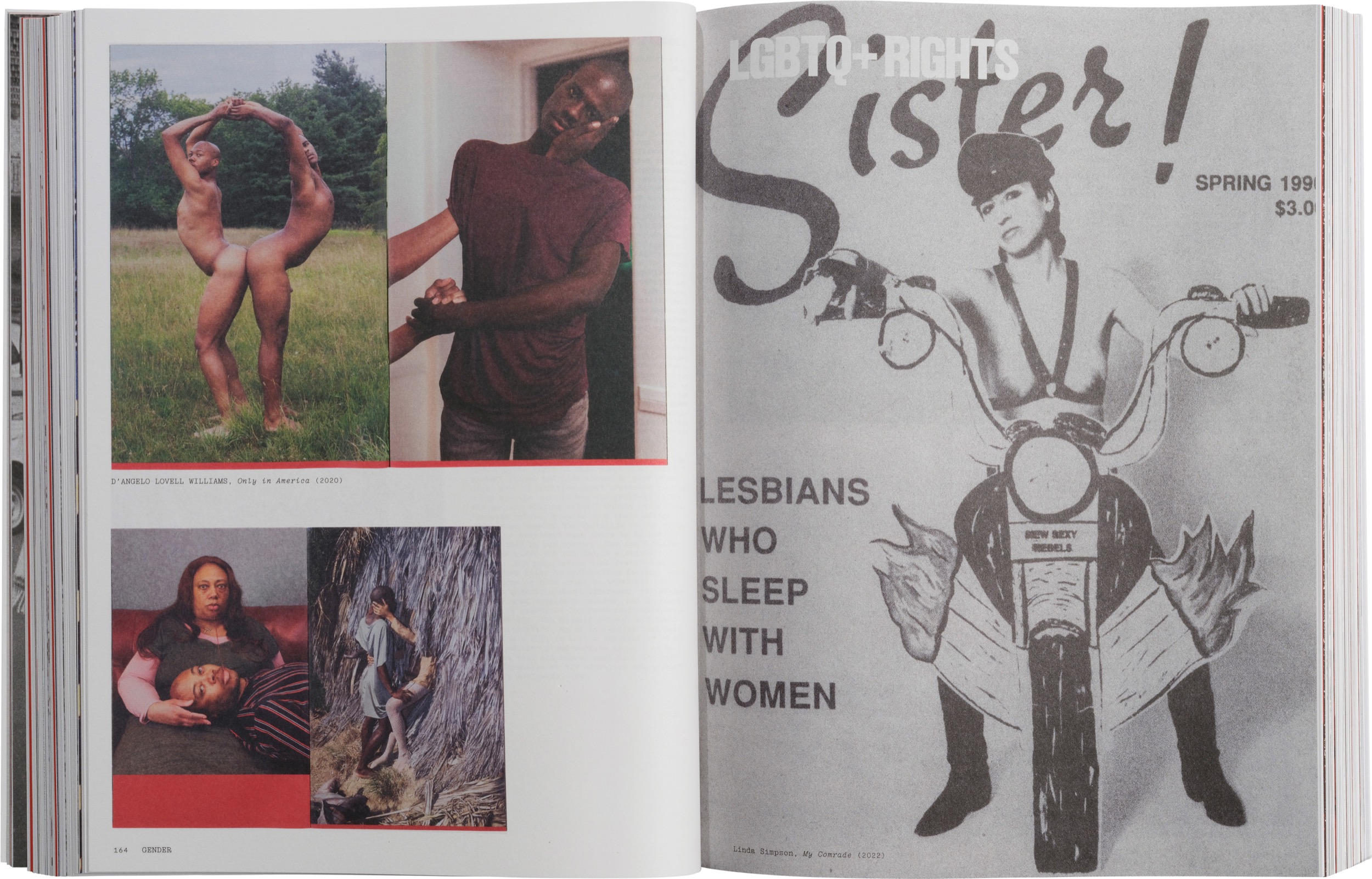 Flashpoint! Protest Photography in Print, 1950–Present - The Brooklyn Rail