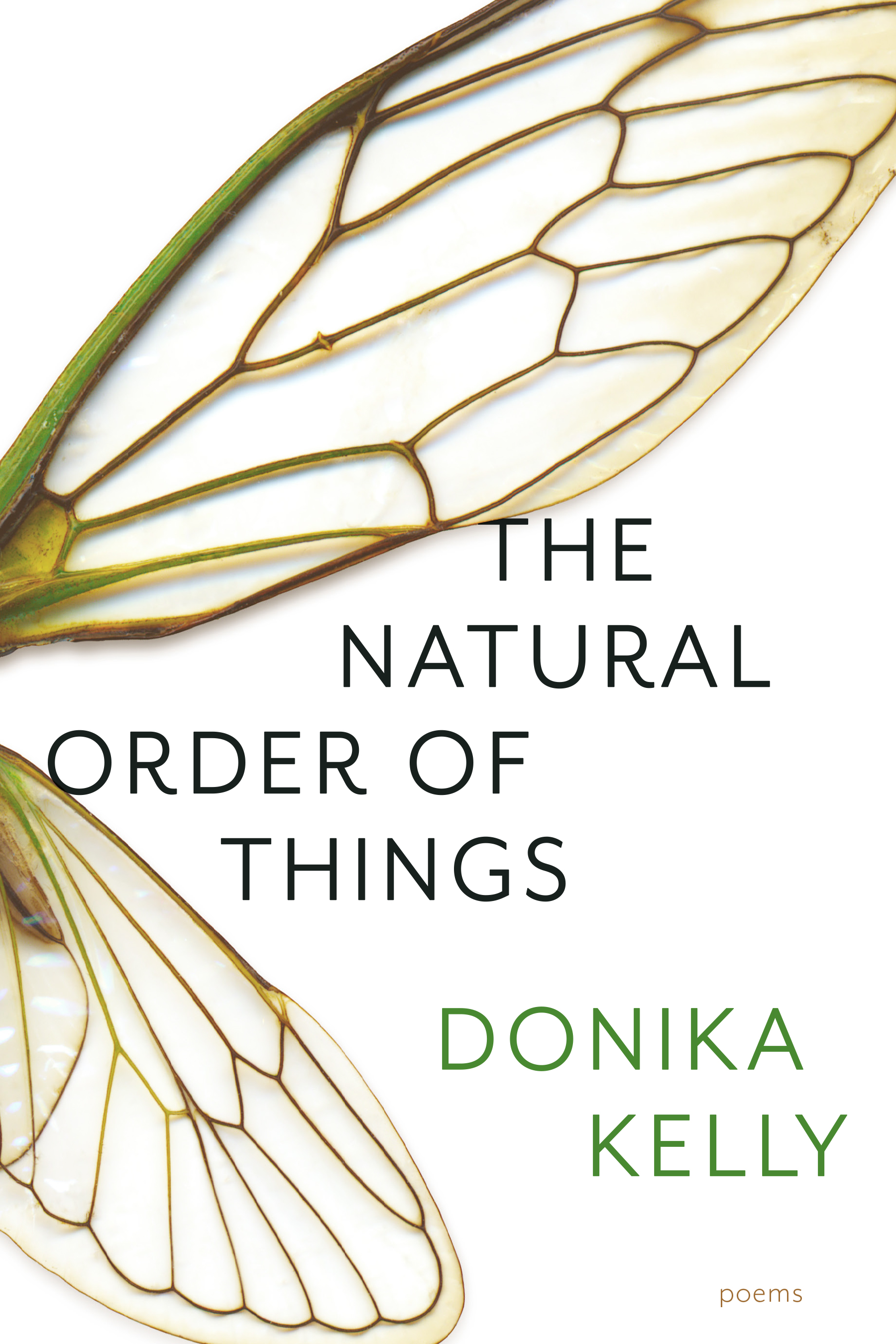 DONIKA KELLY with Mandana Chaffa - The Brooklyn Rail
