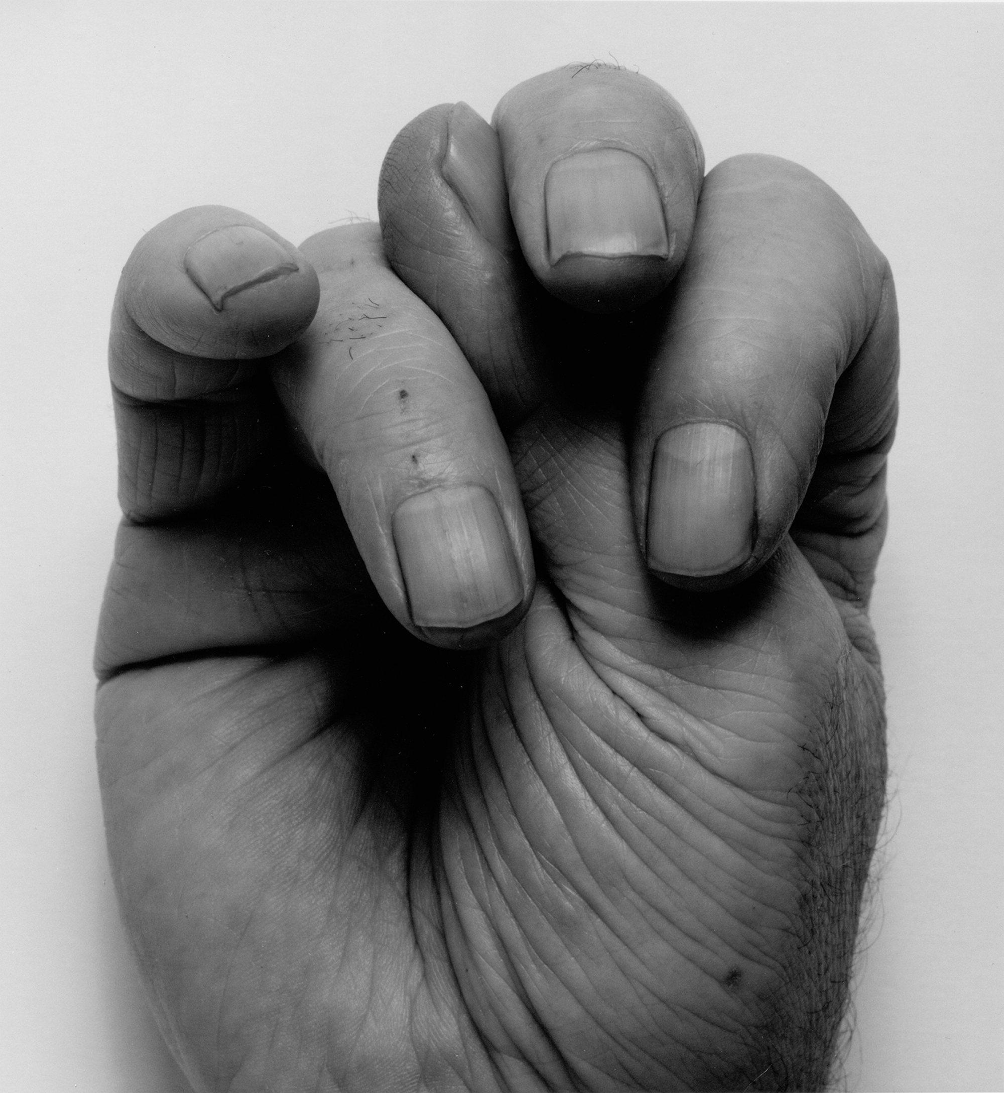 Https://brooklynrail.org/contributor/Alessandro-Merola/ User cover