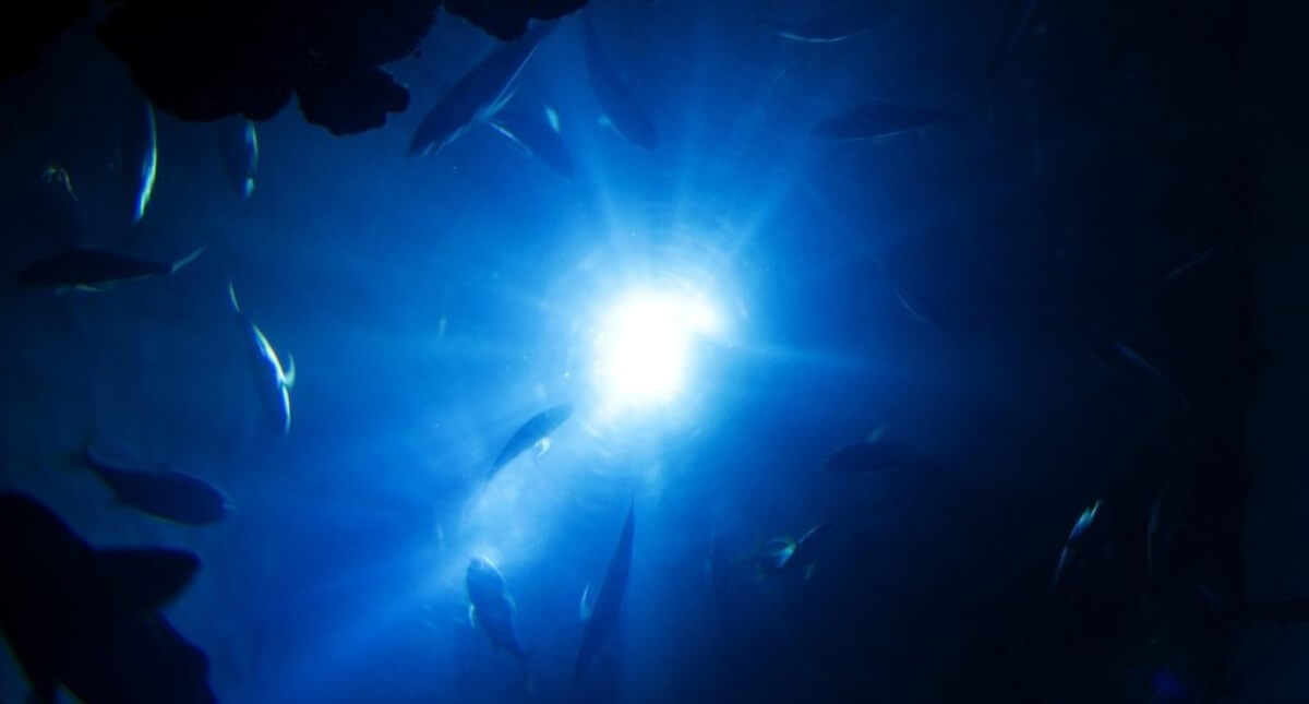 Iron shortage in the ocean's 'twilight zone' could be suffocating our planet's carbon sink