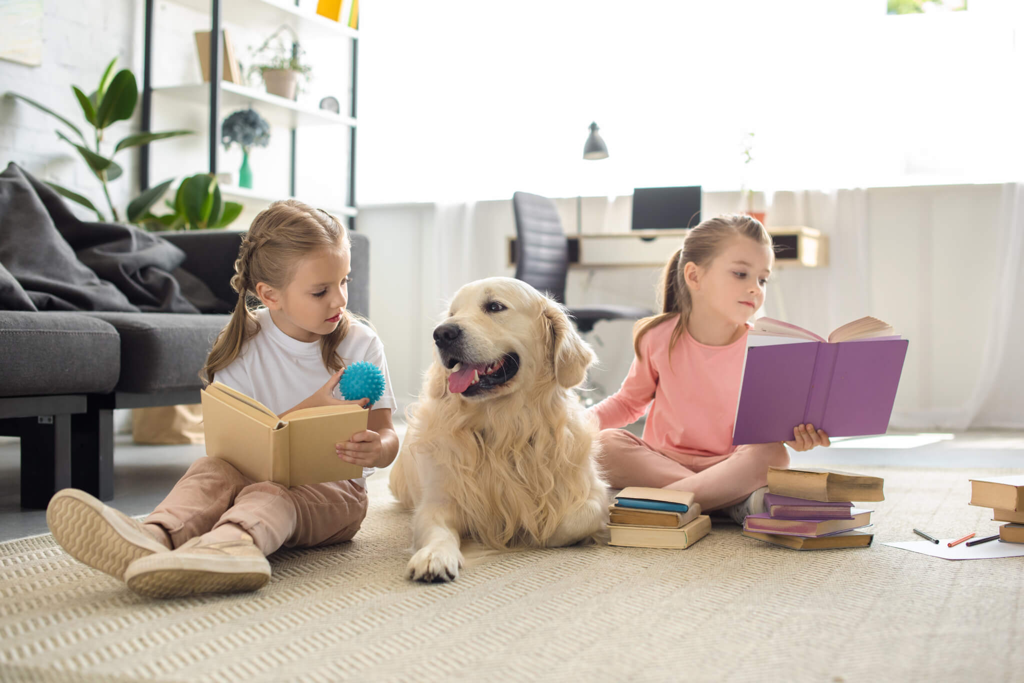 Barks for books: Children read more in the presence of dogs, study finds