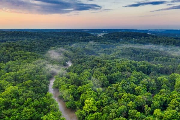 Amazonas nära sin kritiska punkt - Supermiljöbloggen