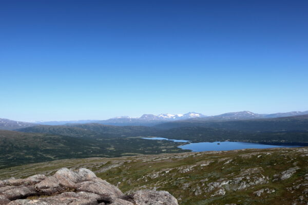 Så förändras vår arktiska natur: “En varningssignal” - Supermiljöbloggen