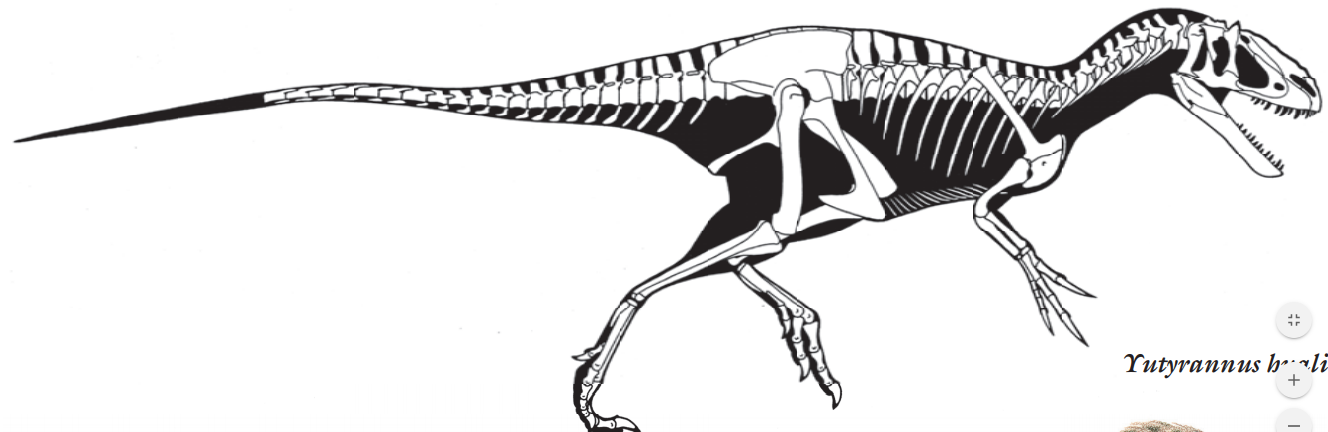 Megaraptor – your Worst Nightmare