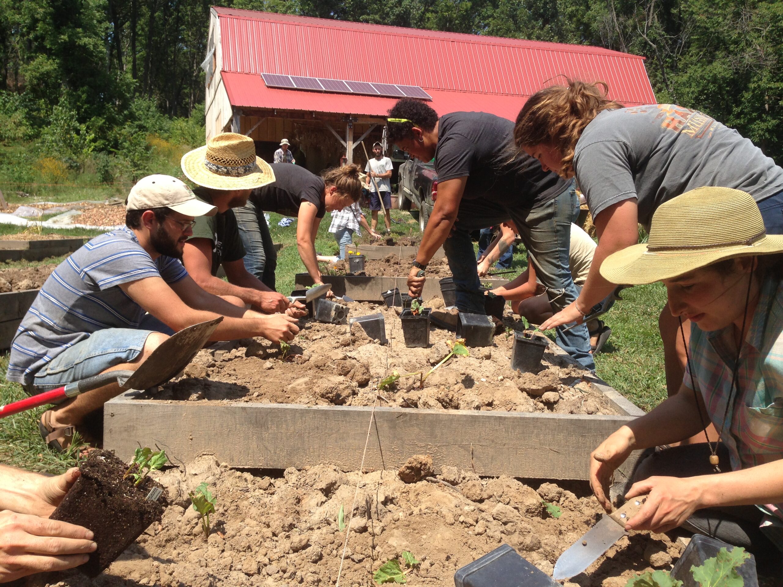 Guest Blog Post: The Patrick Leahy Farm to School Grant FY 2026 Cycle is Open! - National Sustainable Agriculture Coalition