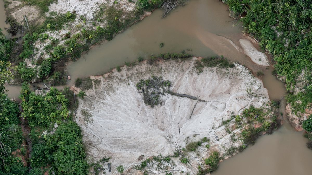 Desmatamento gera 96 milhões de toneladas de CO2 em terras Indígenas - Canaltech