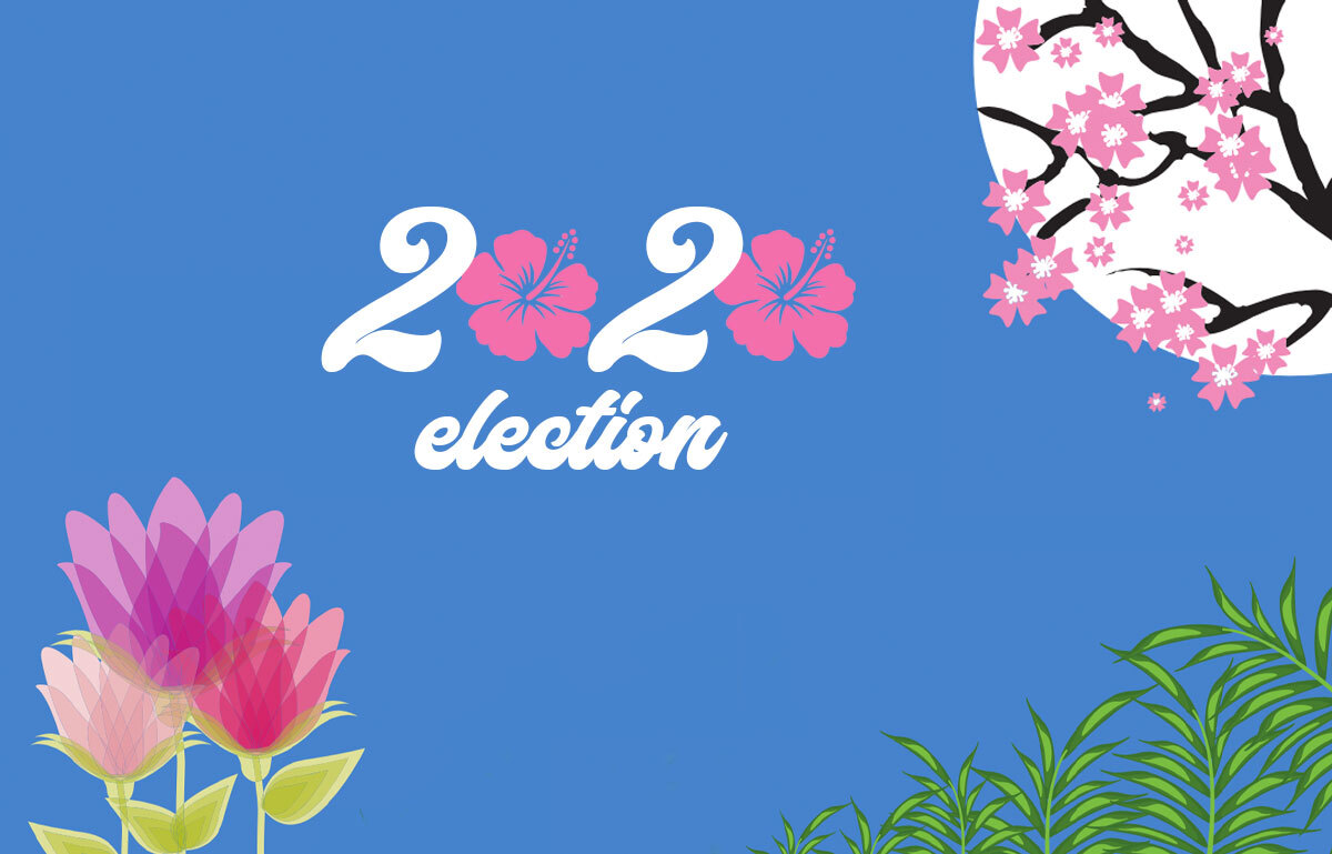 The Unprecedented Impact of the AAPI Vote on the 2020 Election - TargetSmart