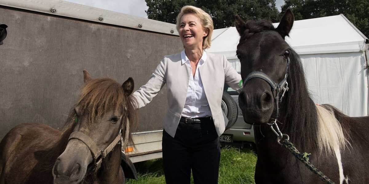 Wolf riss Pferd von Ursula von der Leyen: Ponykiller zum Abschuss freigegeben | taz.de