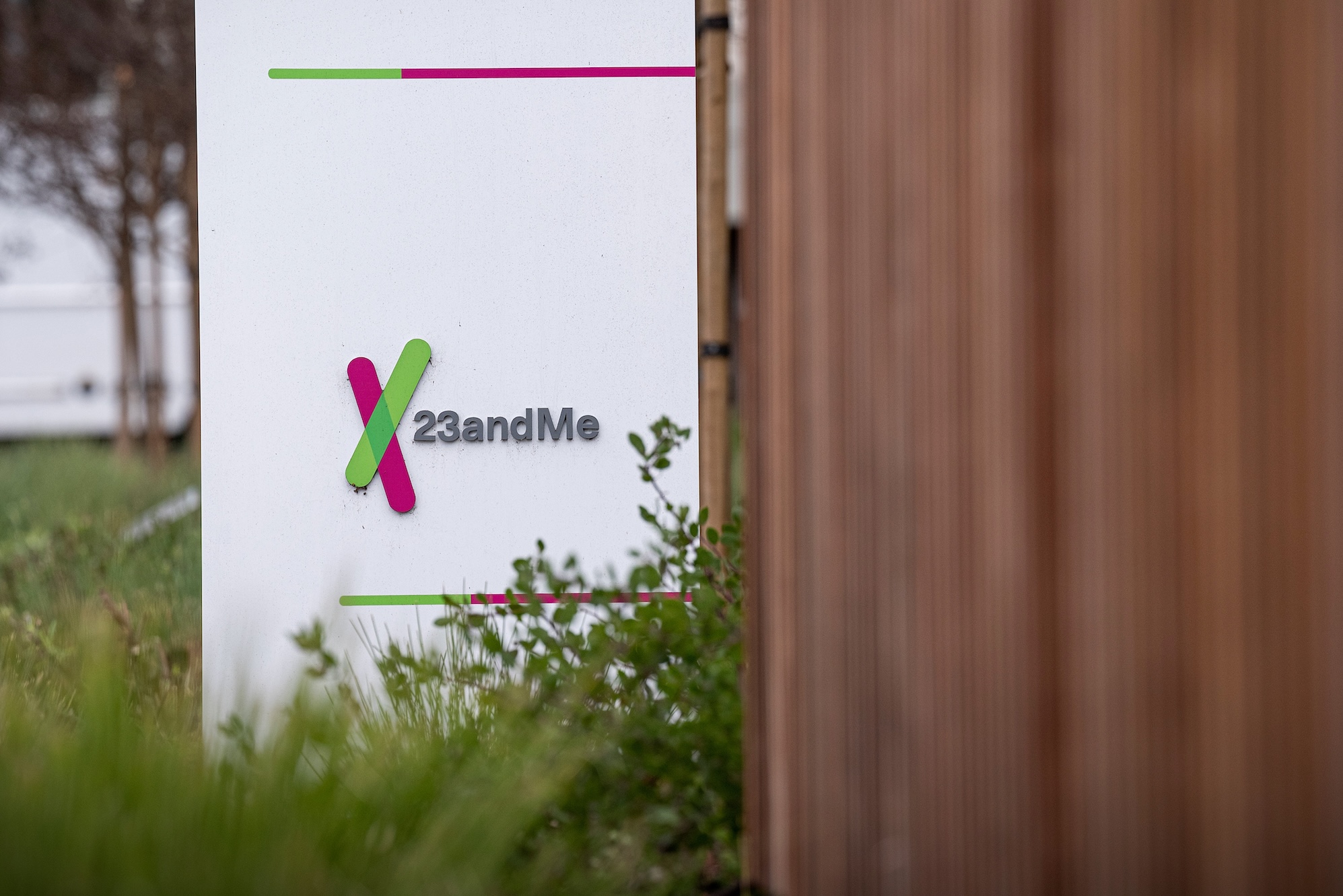 23andMe says hackers accessed 'significant number' of files about users' ancestry | TechCrunch