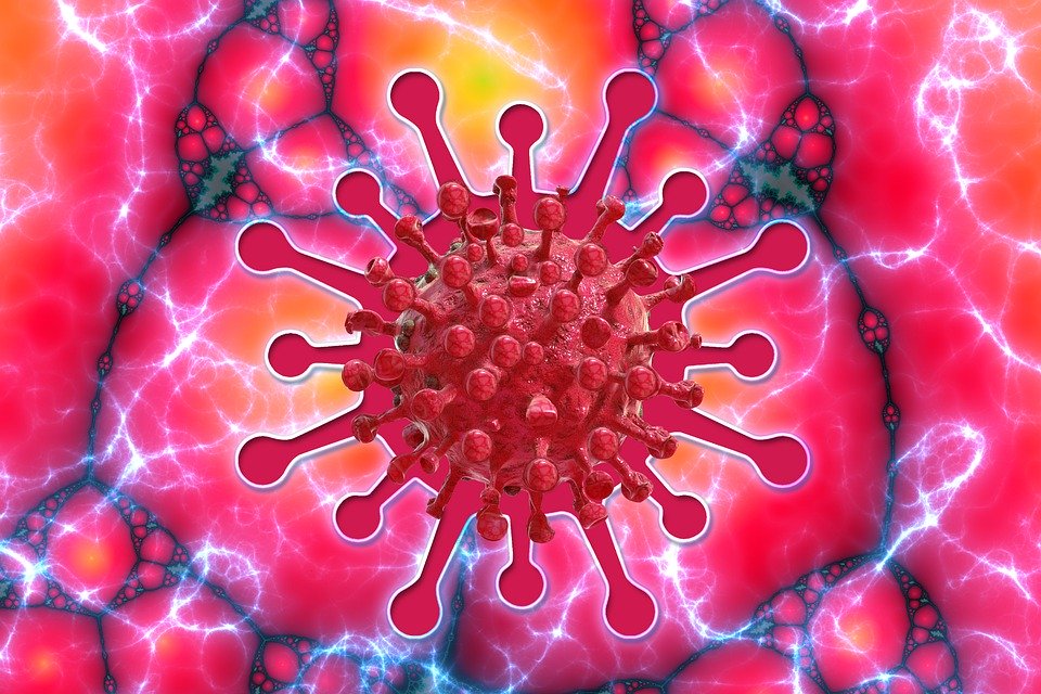 Cross cultural management scholarship and the coronavirus crisis – Terence Jackson