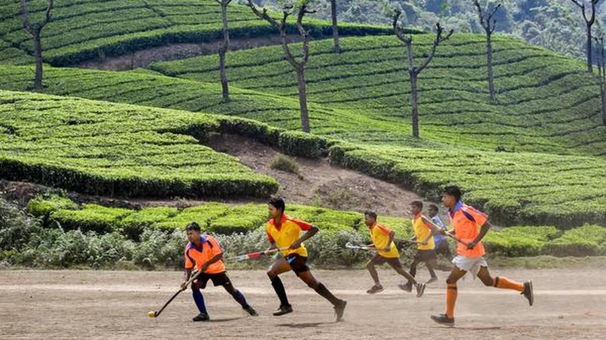 A piece of Jharkhand in Kerala - The Hindu
