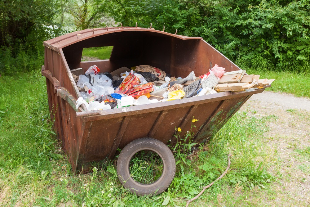 Abortion Supporters Defend Dumping A Live Baby In A Dumpster