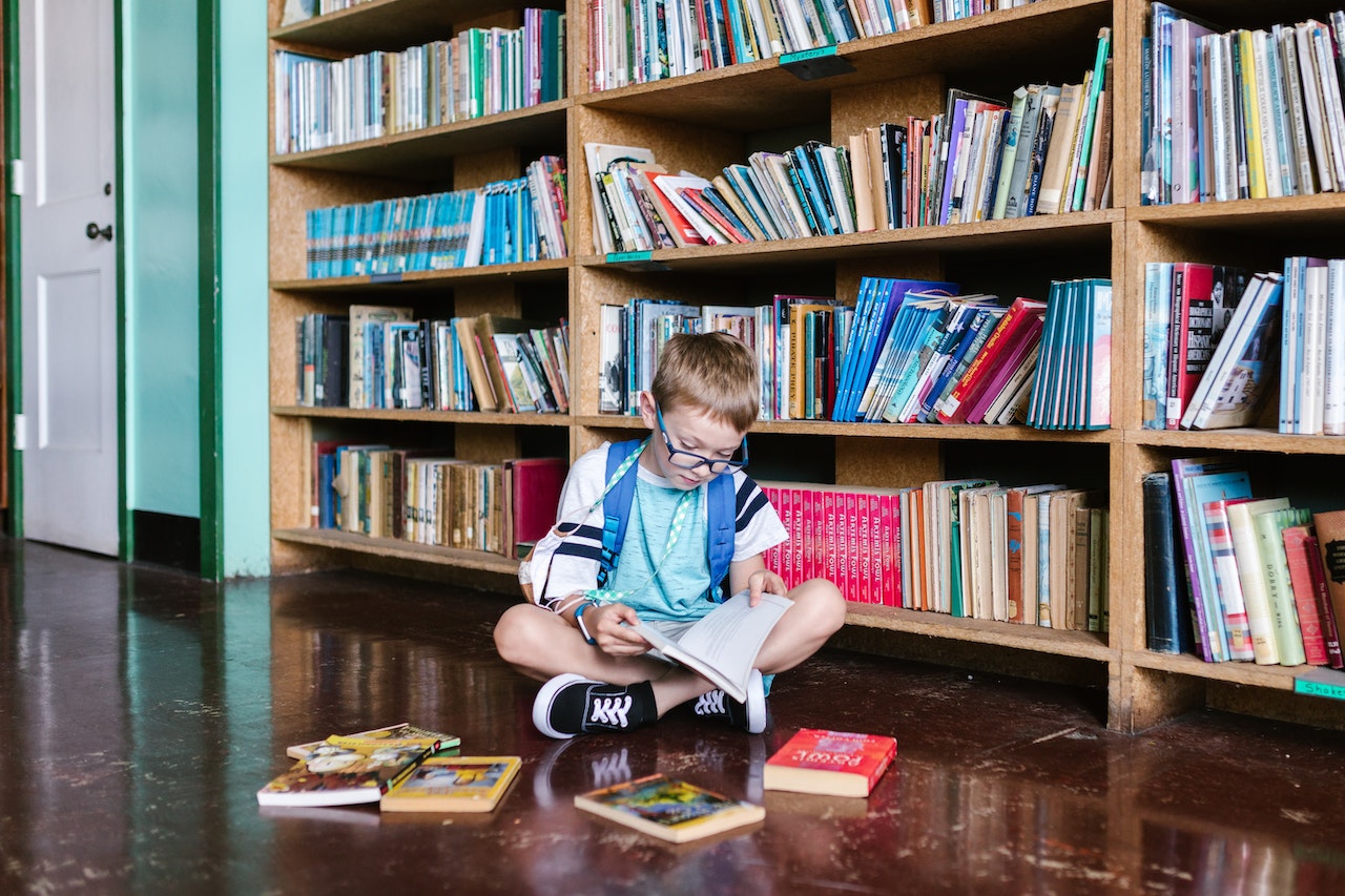 Report: ALA Chief Is On A Crusade To Stock Libraries With Porn