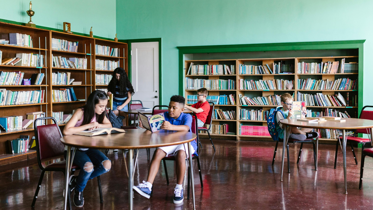 Libraries Pushing Racism, Queer Nonsense Deserve Funding Cuts