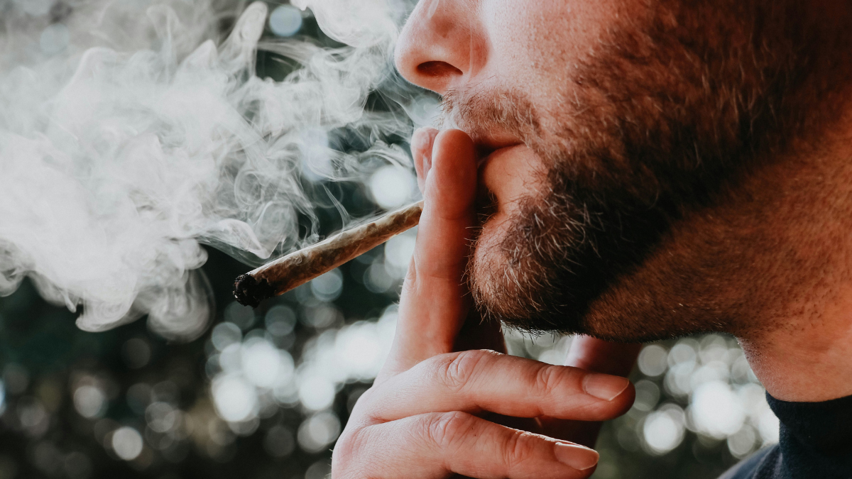 NYT Finally Admits Weed Makes People Insane