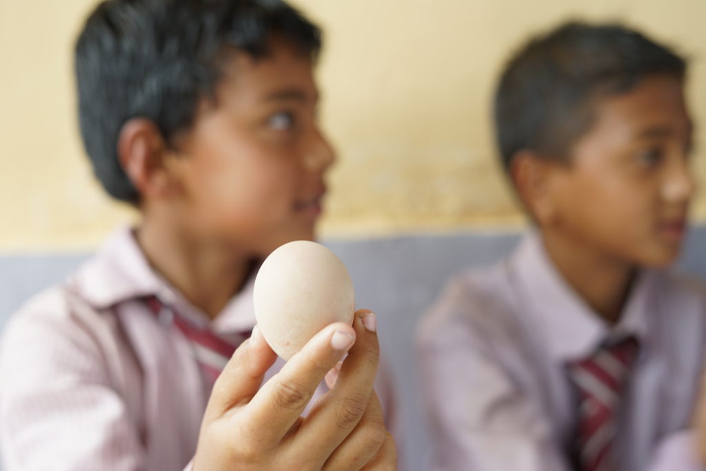What Can You Do with Just OneEgg? - Tyson Foods