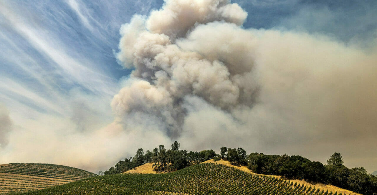 As California wildfires rage, the harvest goes on | Food and Environment Reporting Network
