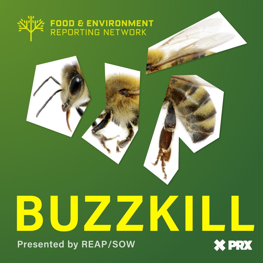 Buzzkill Episode 1: Save which bees? – Food and Environment Reporting Network