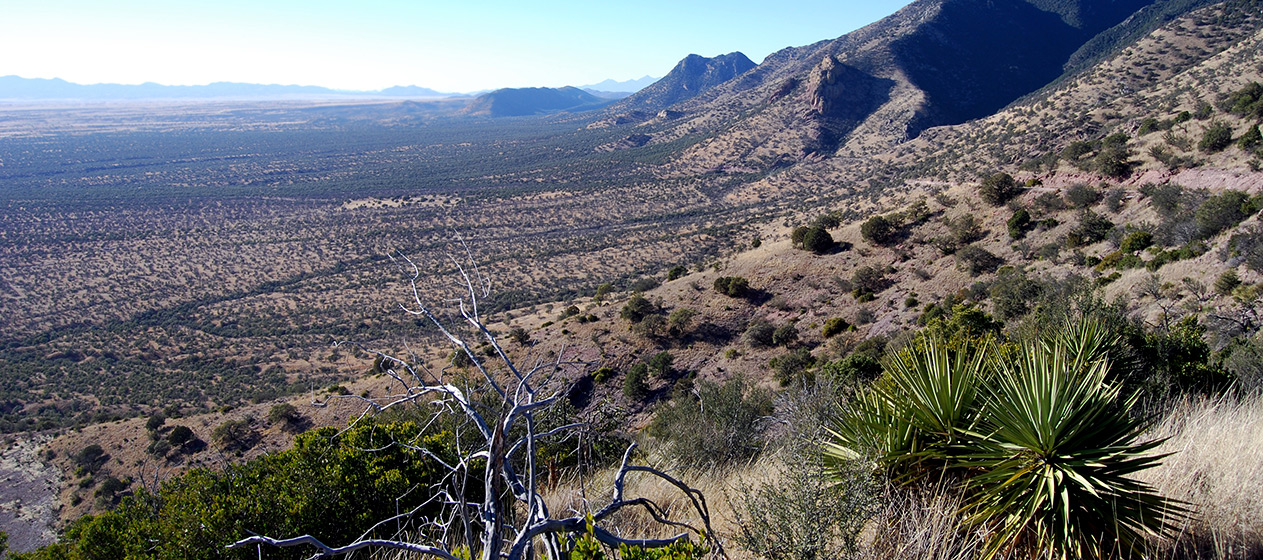 The inherent danger of missions along America's southwest border