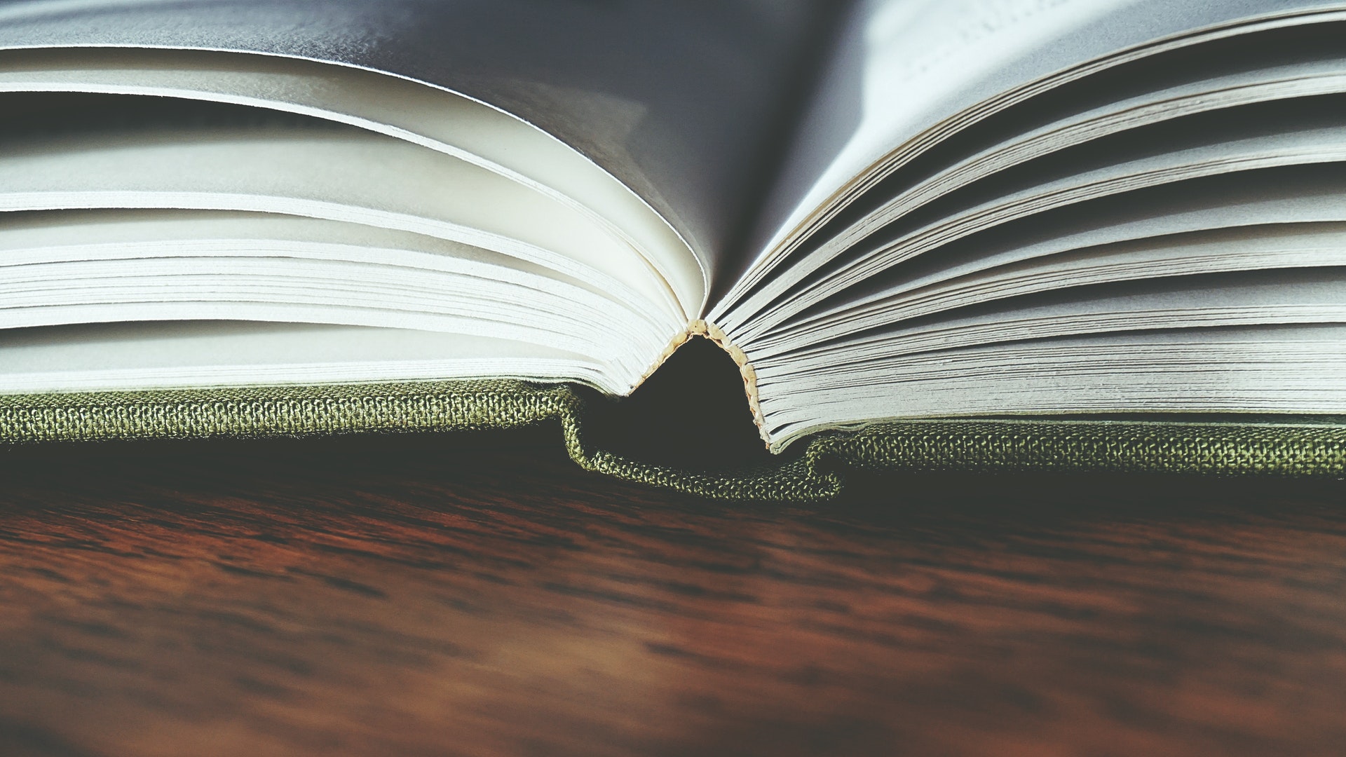The Things My Books Carried - The Millions