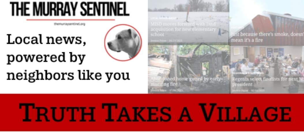 SENTINEL STAFF cover