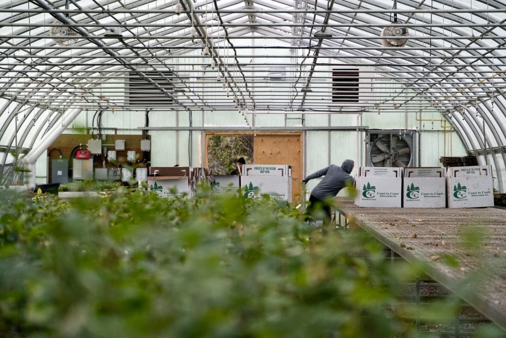 B.C. First Nation taps geothermal power for food security | The Narwhal