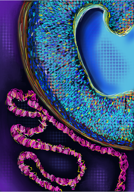 From mysterious cysts to CSF-in-a-dish - the Node