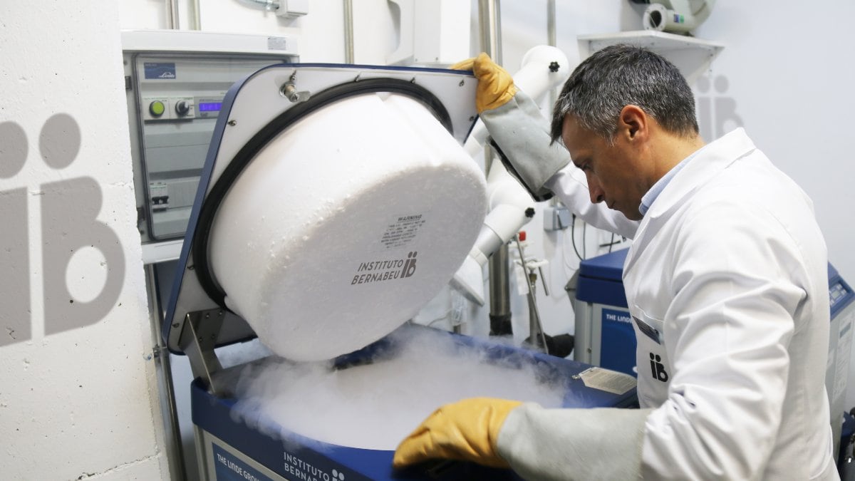 El número de embriones criopreservados en España crece un 310% en nueve años
