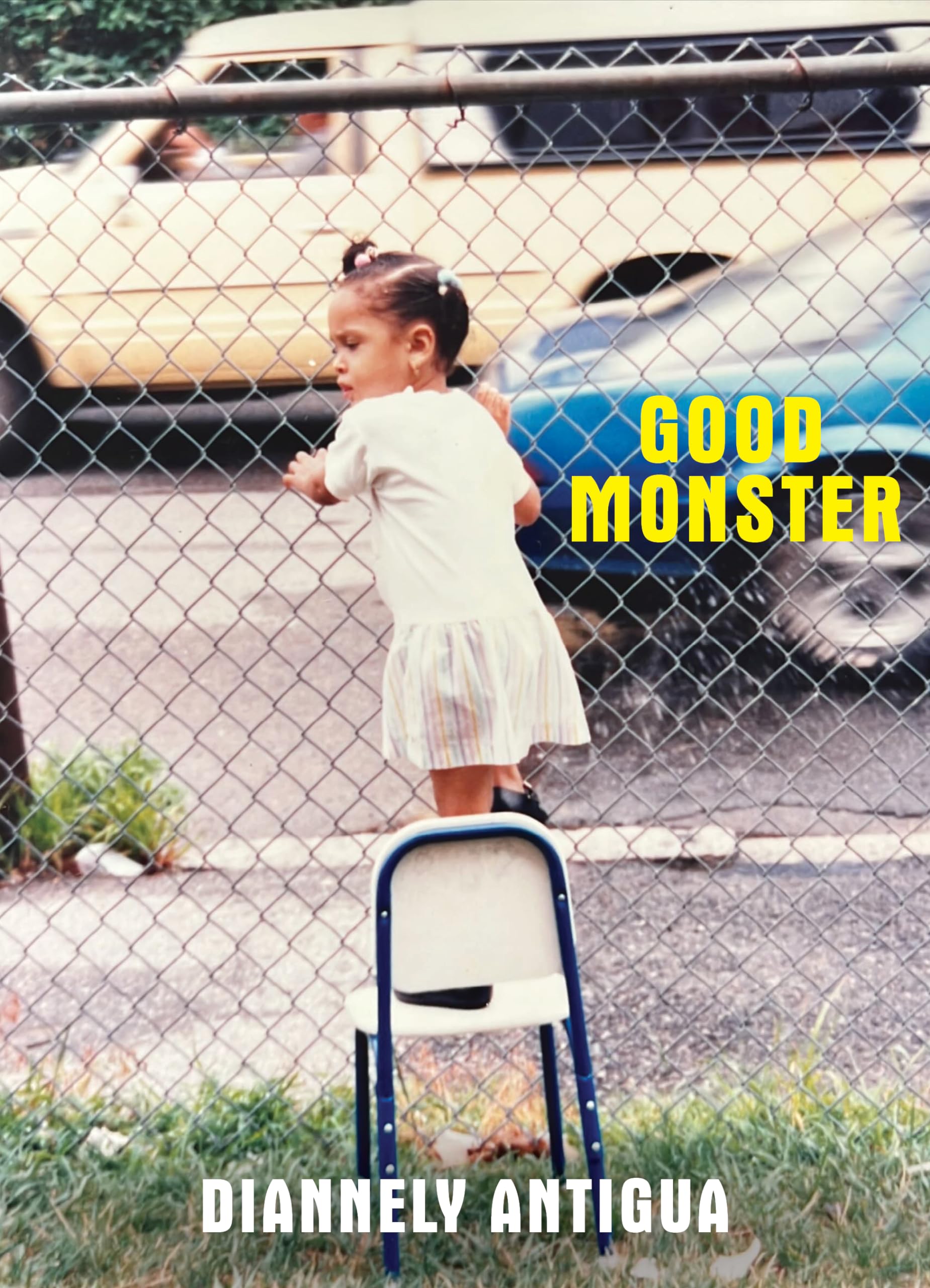 Contrast, Rumination, and Metamorphosis: Diannely Antigua's Good Monster - The Rumpus
