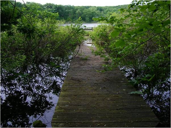 Lyndon Township and Others are Looking at a Fertilizer Ordinance - The Sun Times News