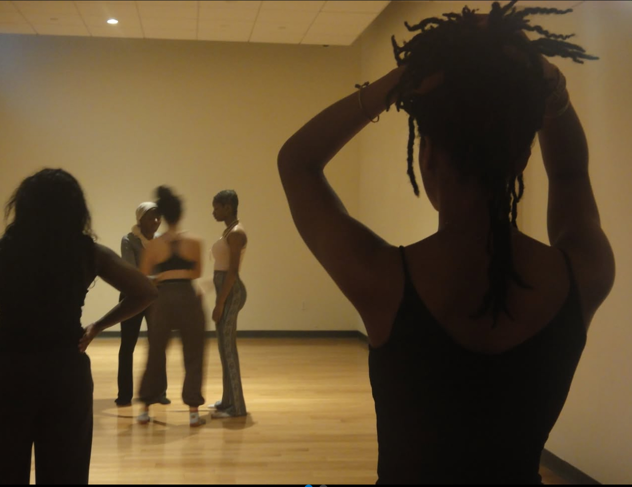 Behind the beat: a celebration of Wellesley’s Fever Dancers – The Wellesley News