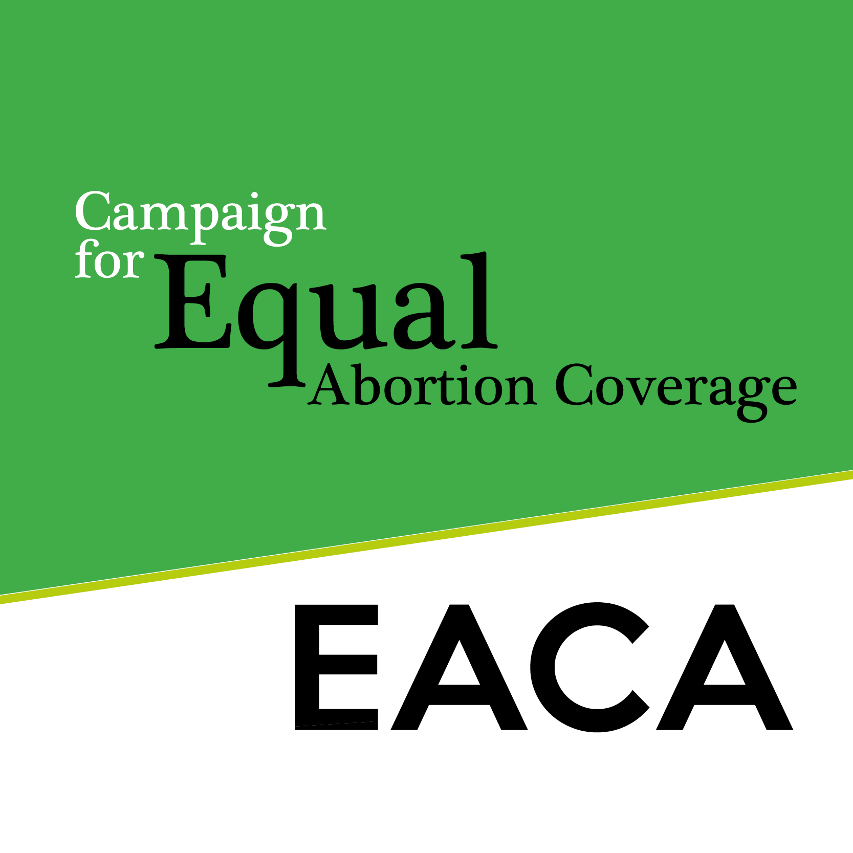 Advocates Urging Action for Abortion Access (more than a dozen RI groups) | The Womxn Project Blog