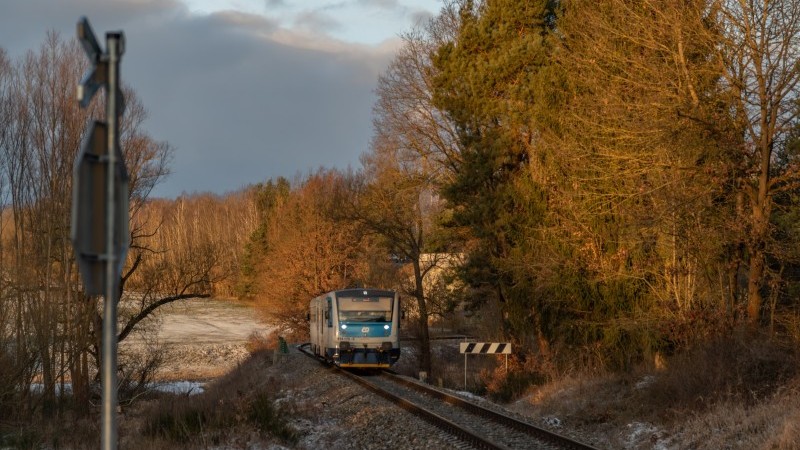 Czech industry comes out of the woods | snaps | ING THINK
