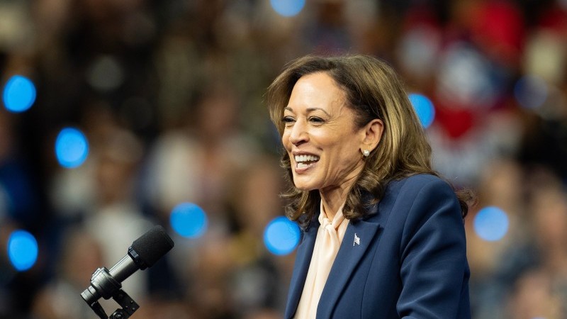 President Harris scenario: sustained climate ambition faces a bumpy road | articles | ING THINK