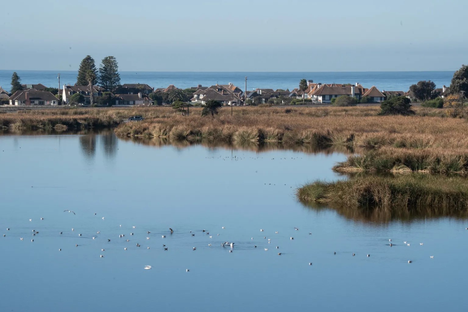 Homeowner takes Coastal Commission to court over $2.4 million fine