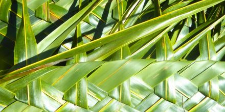 Filling the Basket of Knowledge: Workshop on Climate Change, Human Mobility and Peacebuilding in the Pacific | Toda Peace Institute