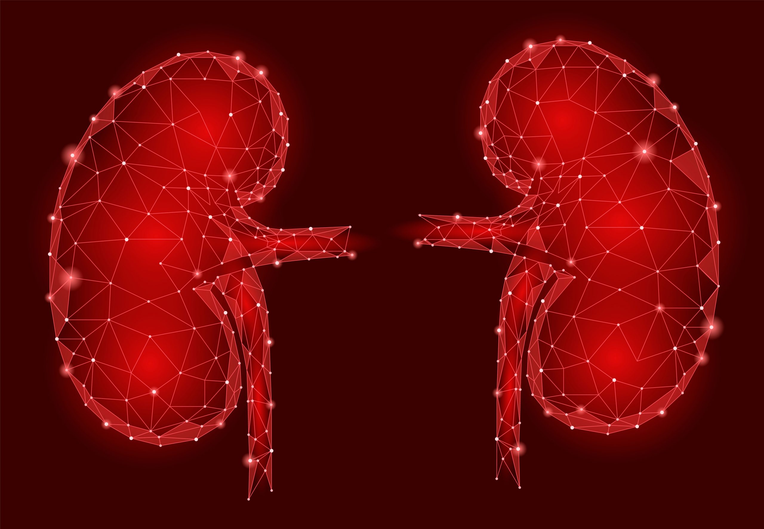 Toughen Up, Kidney, the Damage is Temporary - UConn Today