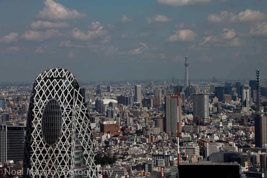 Best Places To Photograph Tokyo Japan