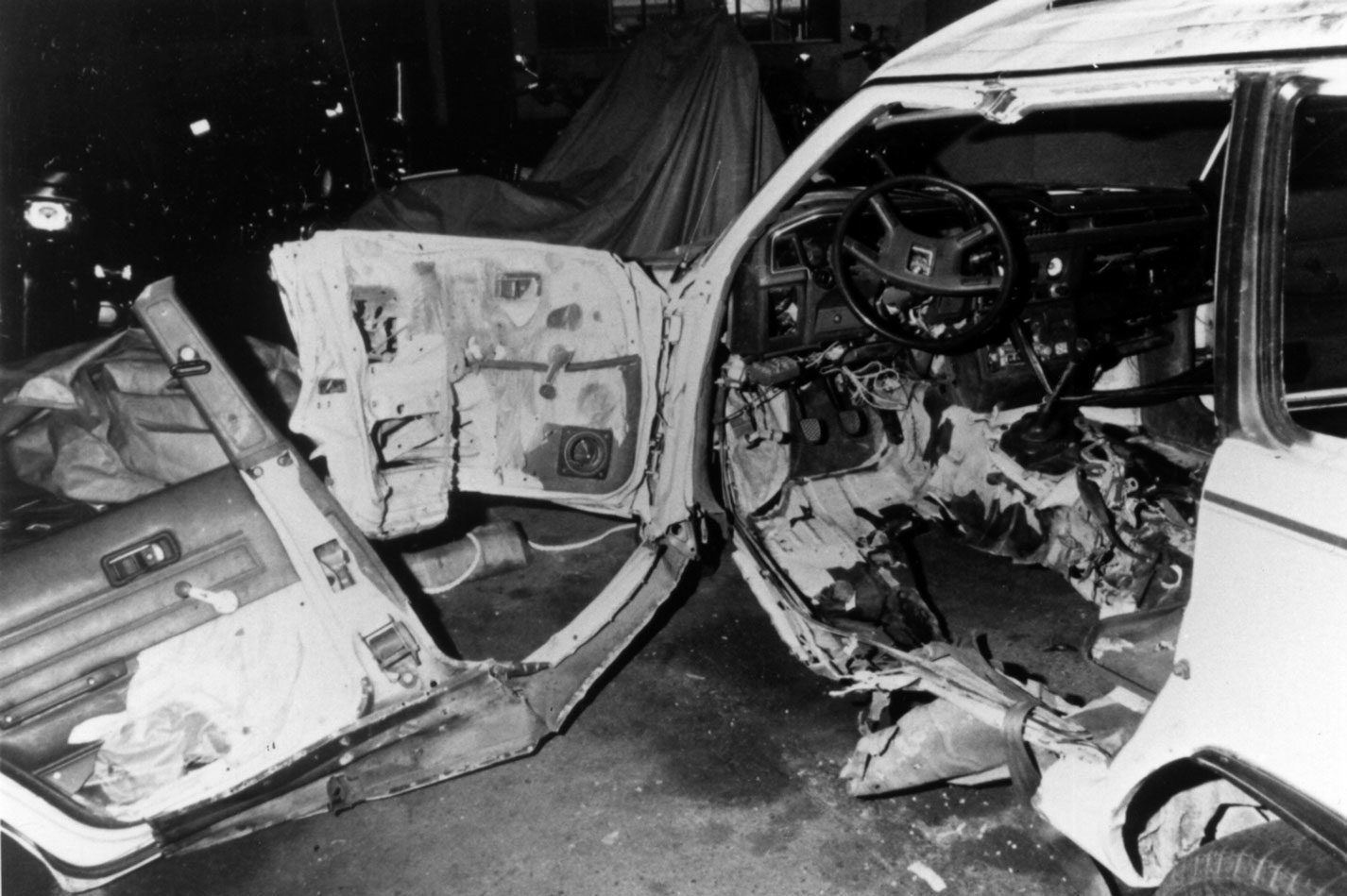 30 Years Ago: The Bombing of Earth First! Activists Judi Bari and Darryl Cherney | Trees Foundation