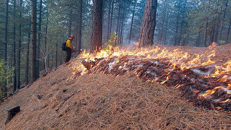 PODs: A Solution to Fire with Climate Change | Cultural Fire-Management