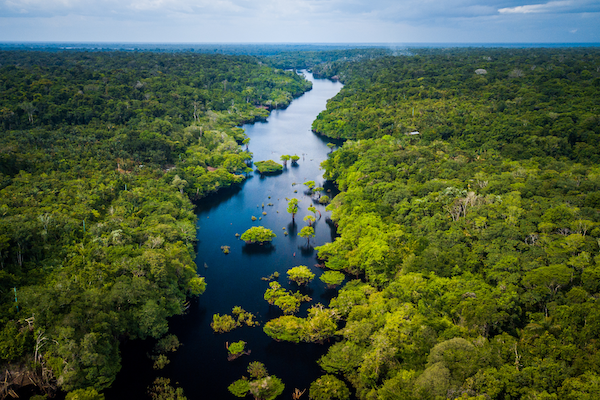 Preserving biodiversity to safeguard the planet and human prosperity | Trellis