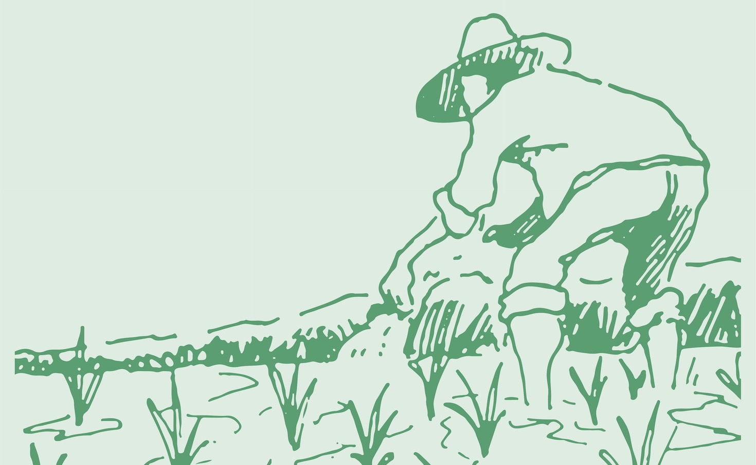 'Does it scale?' is the wrong question in food production | Trellis