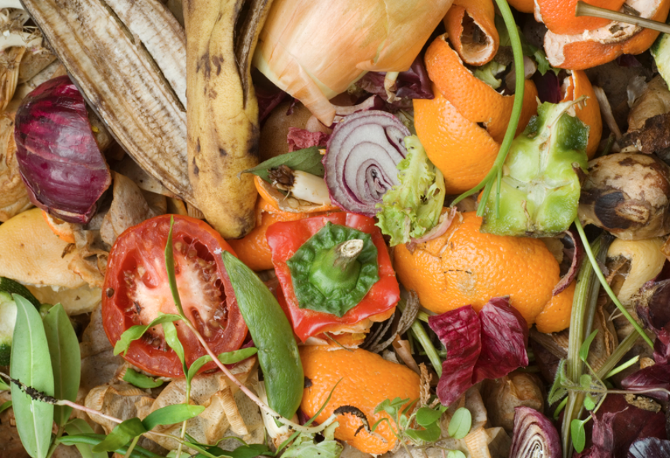 Slashing food waste is key to Sustainable Development Goals | Trellis