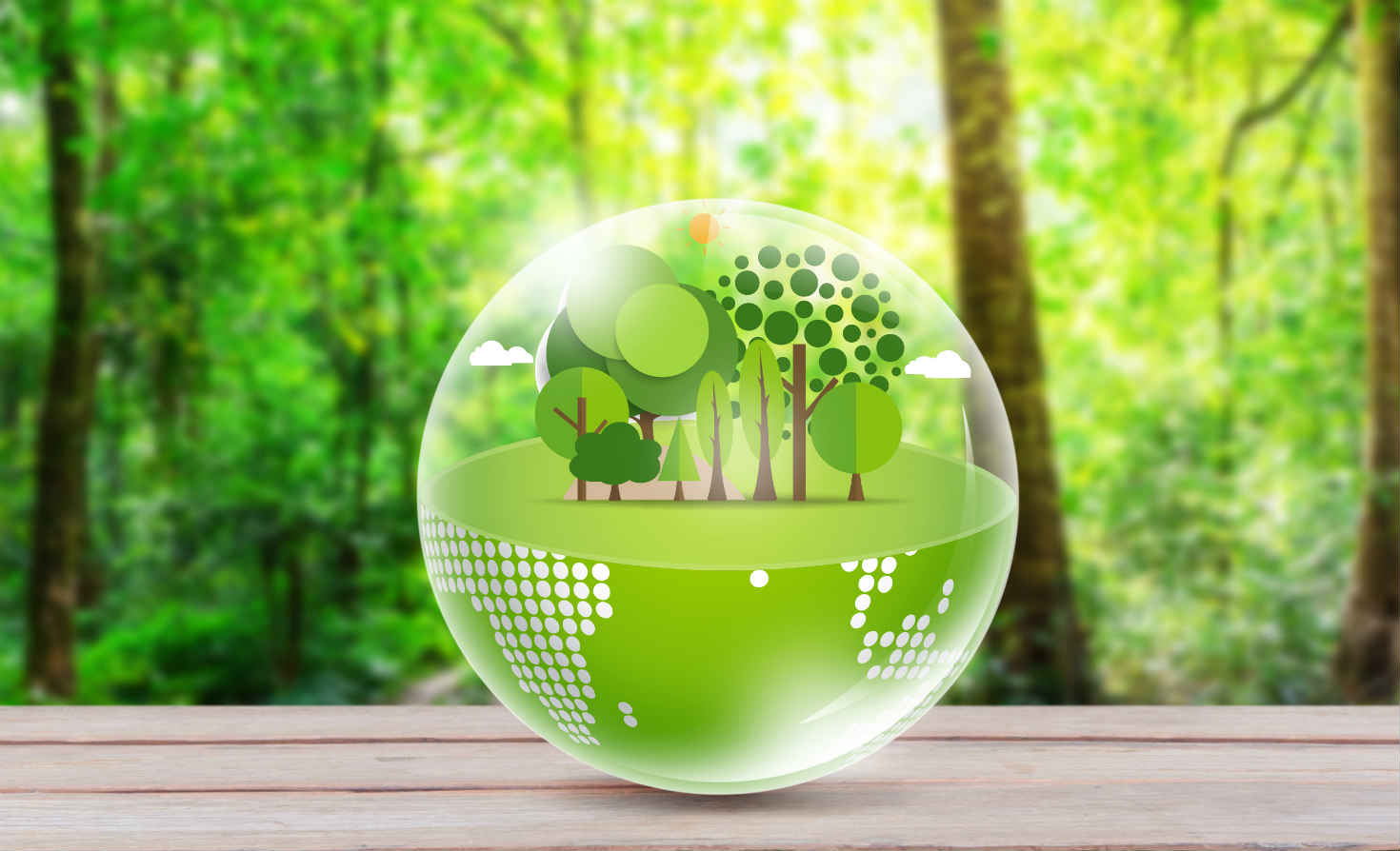 We know what sustainable development should look like — let’s do it | Trellis