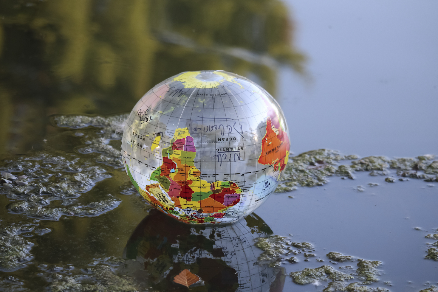 In a world upside down, boards must drive stakeholder capitalism | Trellis