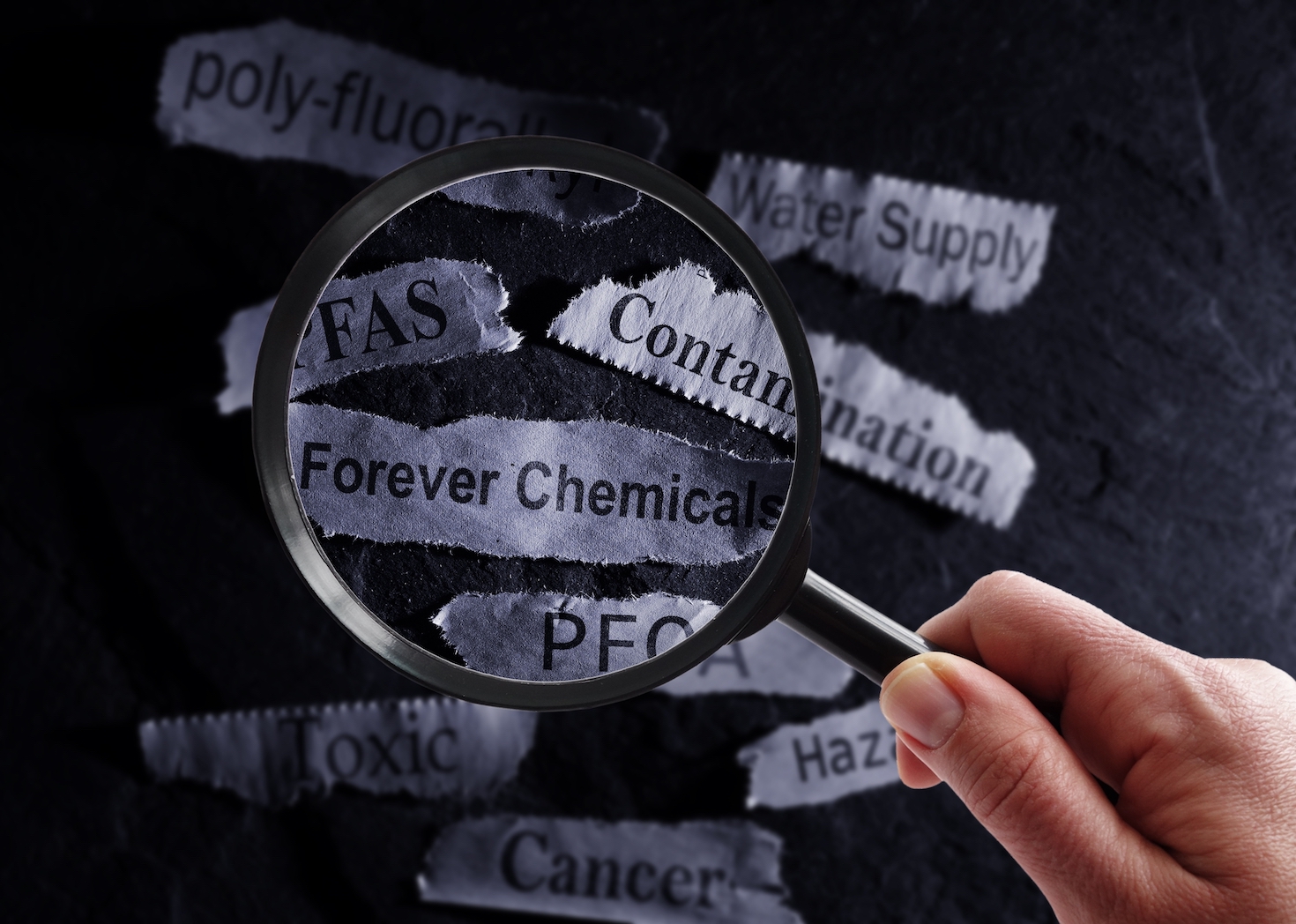 The challenge of 'forever chemicals' will require bold action at speed and scale | Trellis