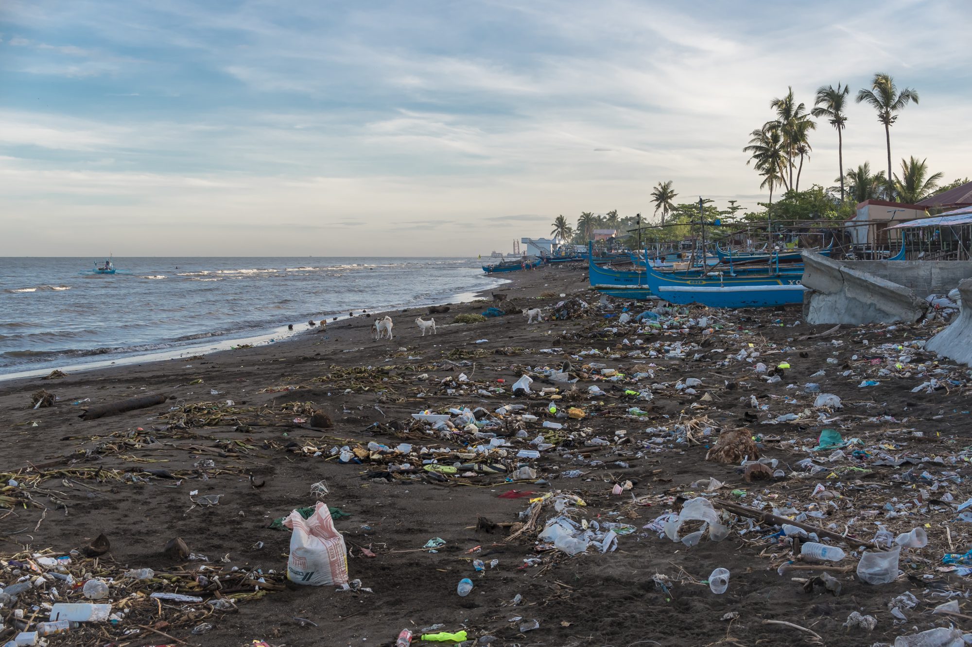 As plastics treaty talks enter the final round, here’s what to expect | Trellis
